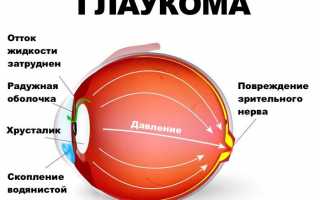 Влияние препарата Черника форте с лютеином на зрение
