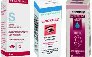 Причины нагноения и покраснения глаз, лечение и профилактика