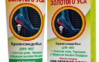 Золотой ус против пяточных шпор